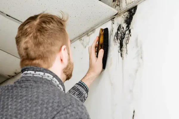 Man Cleaning Mold from Leak